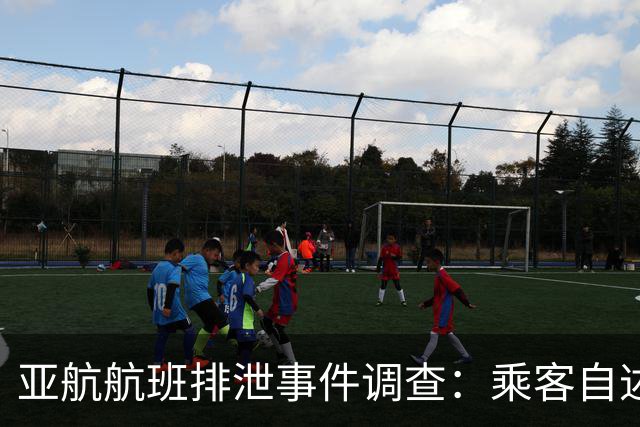 亚航航班排泄事件调查：乘客自述背后细节，引发广泛讨论
